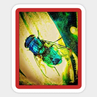 Blue Fly Sticker